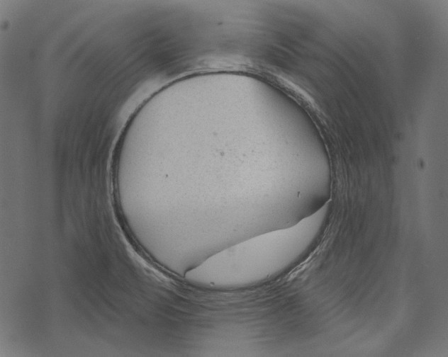 X0000073951471200609181349