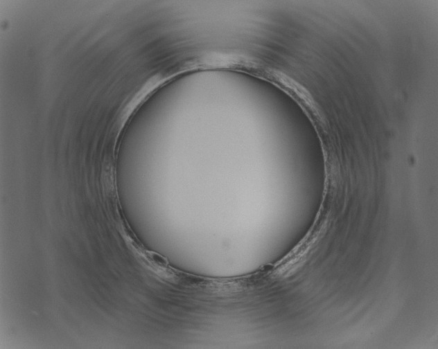 X0000073951473200609181349