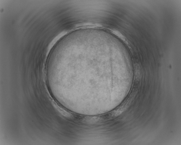 X0000073951474200609181349