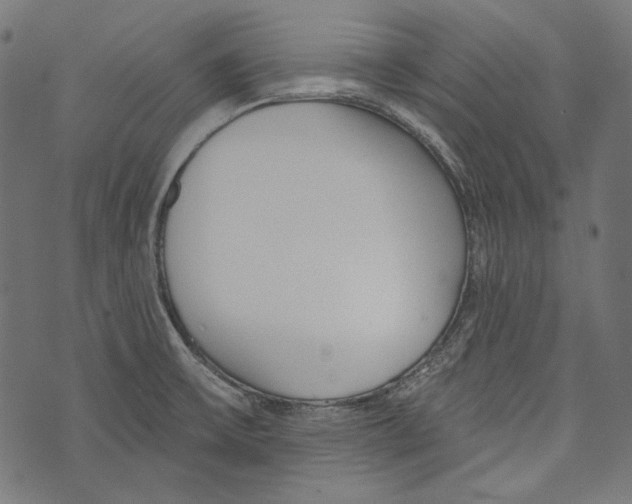 X0000073951475200609181349