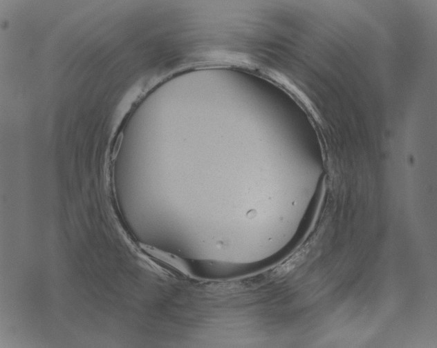 X0000073951477200609181349