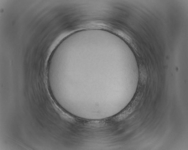 X0000073951478200609181349