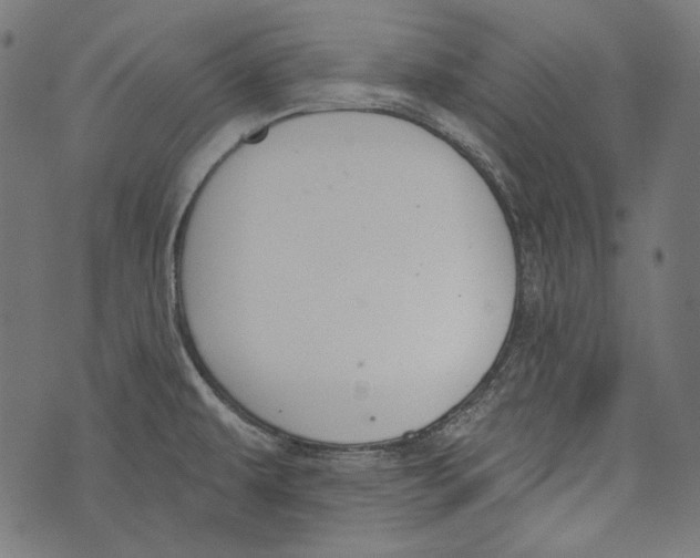 X0000073951479200609181349