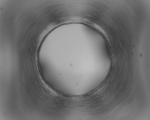 X0000073951480200609181348