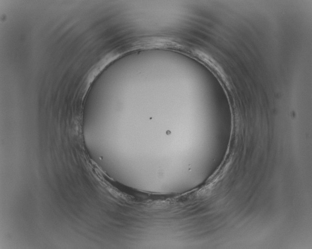 X0000073951481200609181348