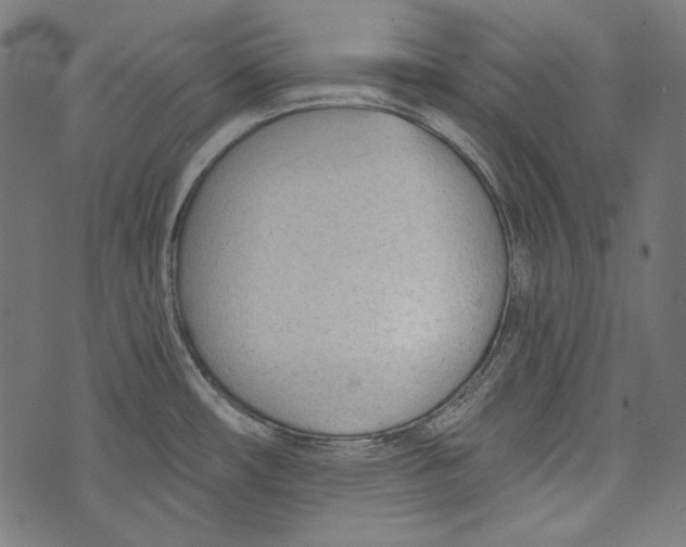 X0000073951482200609181348