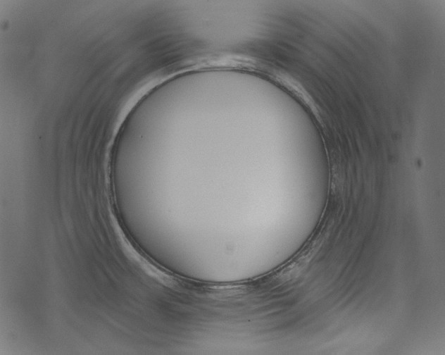 X0000073951483200609181348