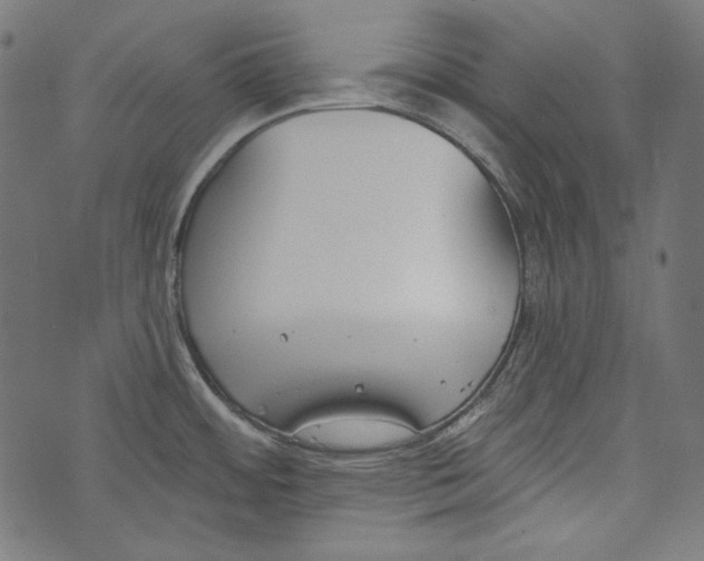 X0000073951484200609181348