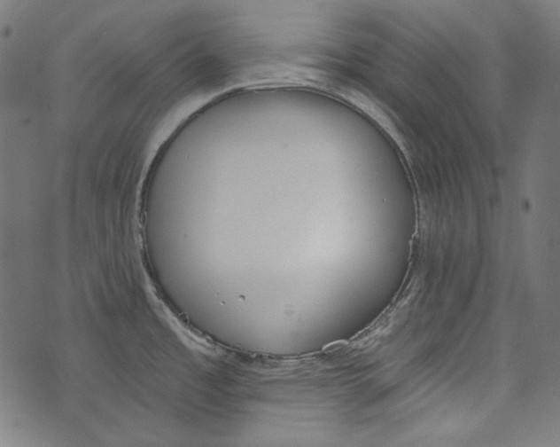 X0000073951485200609181348