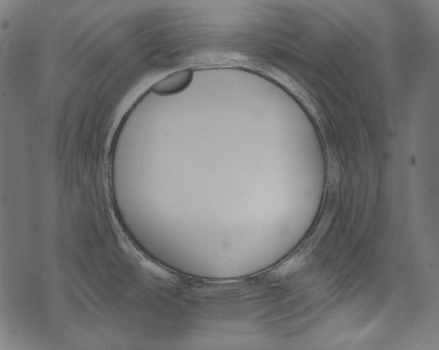 X0000073951486200609181348