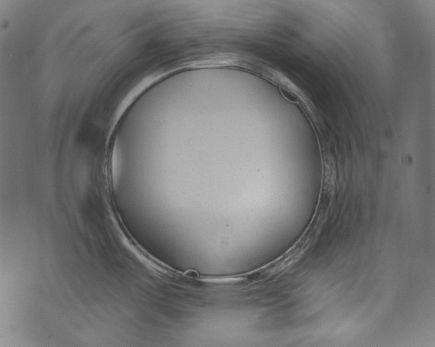 X0000073951487200609181348