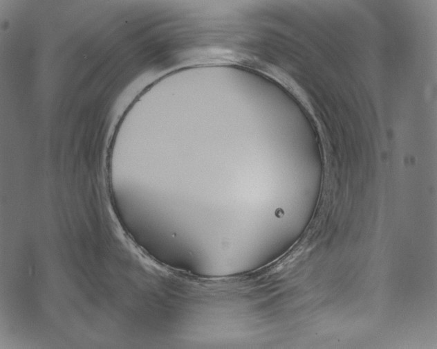 X0000073951488200609181348