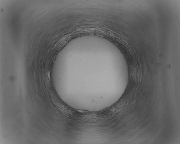 X0000073951489200609181348