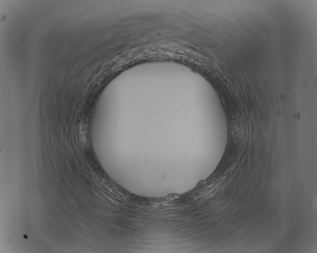 X0000073951490200609181348