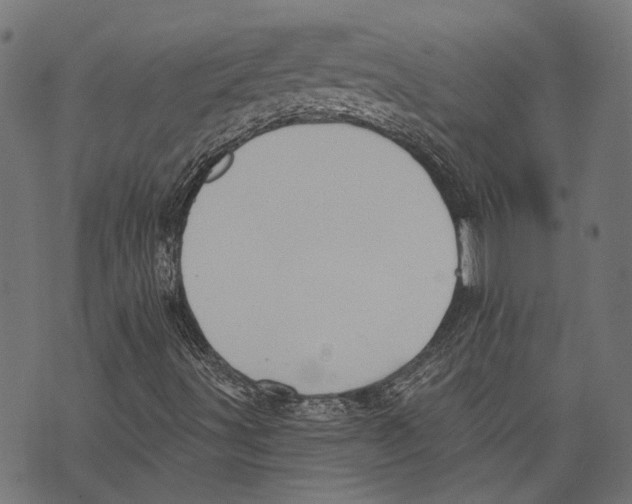 X0000073951491200609181348