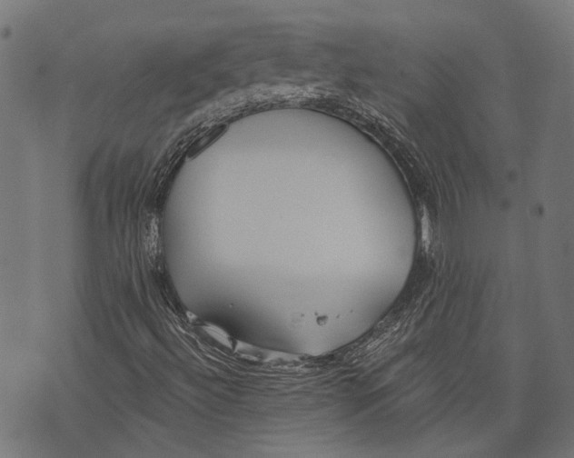 X0000073951492200609181348