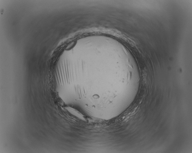 X0000073951494200609181348