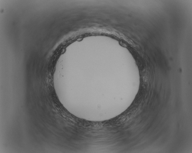 X0000073951495200609181348