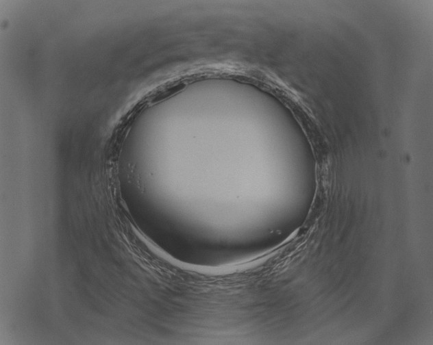 X0000073951496200609181348