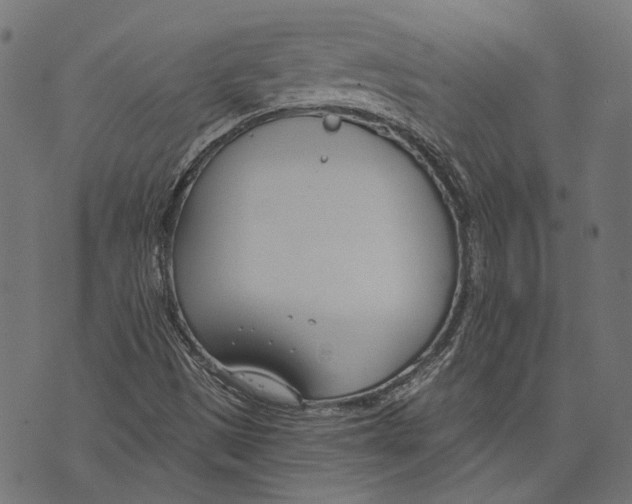 X0000073951497200609181348