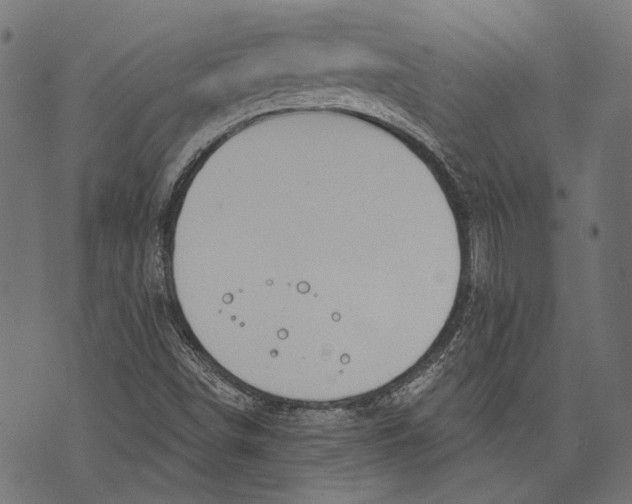 X0000073951498200609181348