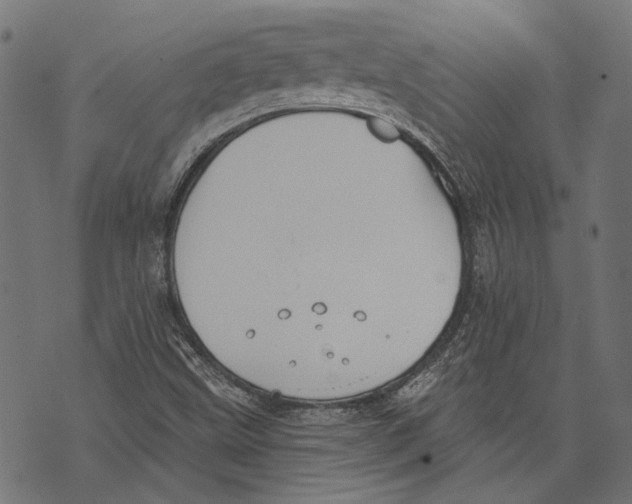 X0000073951499200609181348