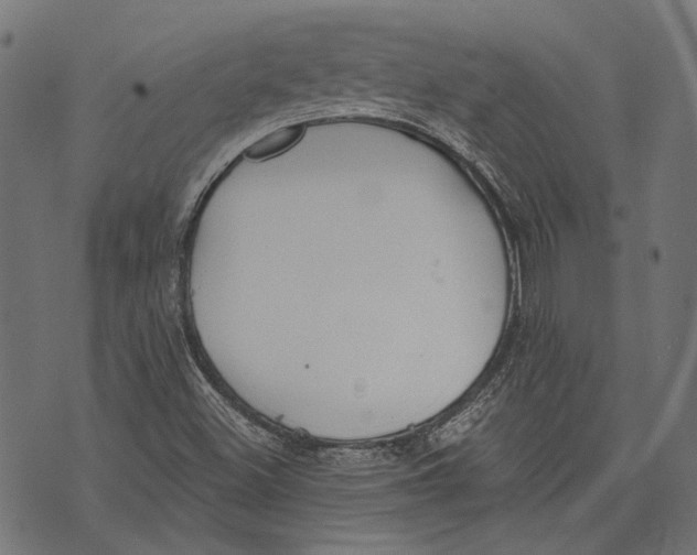 X0000073951500200609181348