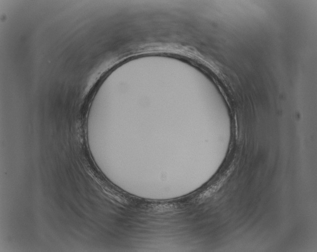 X0000073951501200609181348