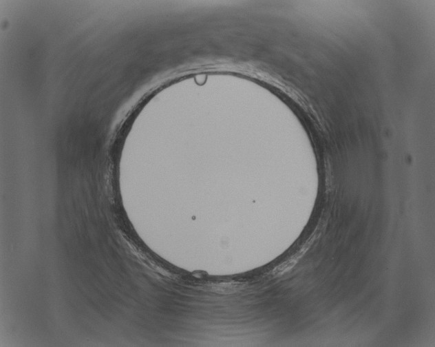 X0000073951502200609181348