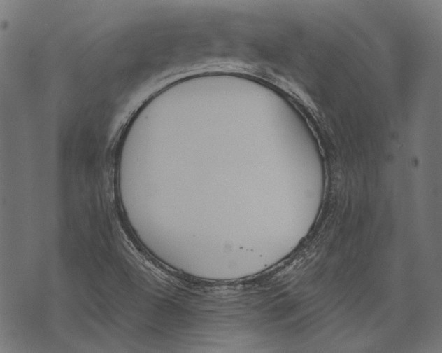 X0000073951504200609181348