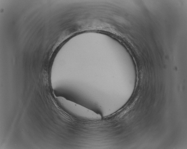 X0000073951505200609181348