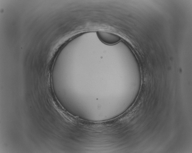 X0000073951507200609181348