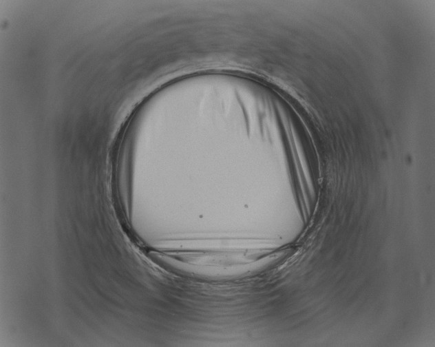 X0000073951508200609181348