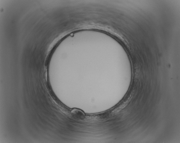 X0000073951509200609181348