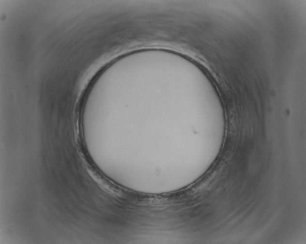 X0000073951511200609181348