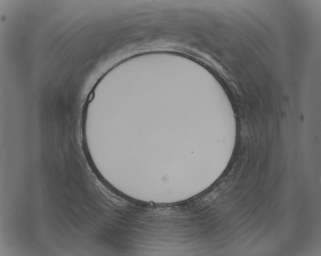 X0000073951512200609181348