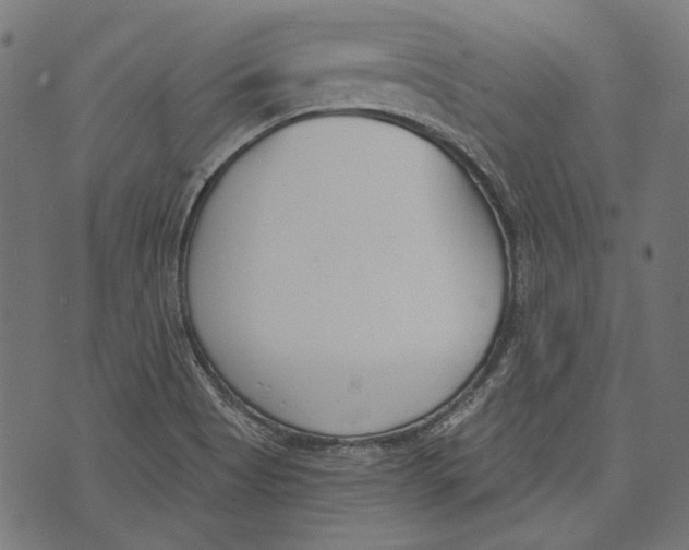 X0000073951513200609181348