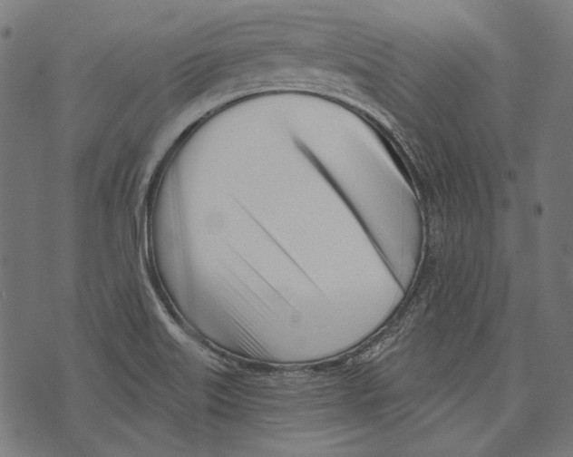 X0000073951515200609181348