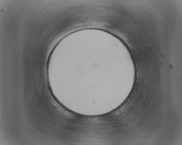 X0000073951516200609181348