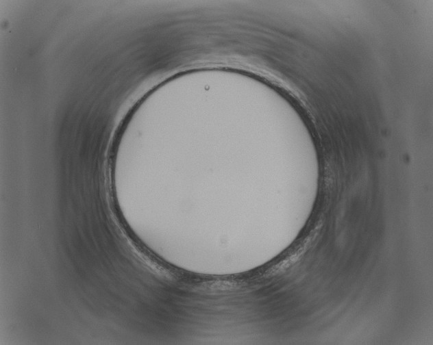 X0000073951517200609181348