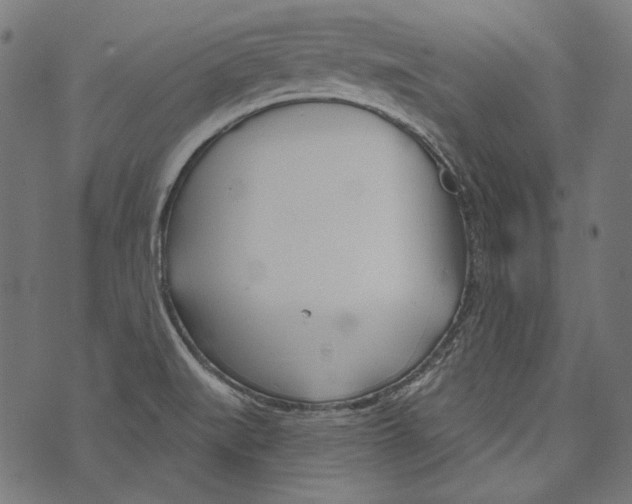 X0000073951519200609181348