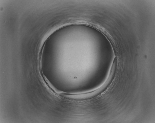 X0000073951520200609181348