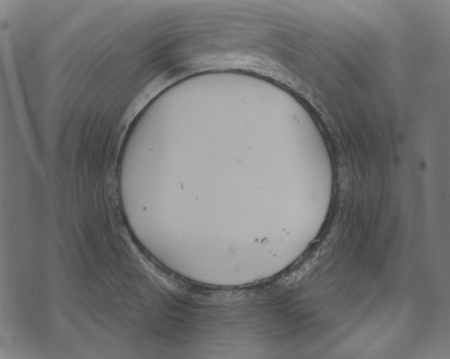 X0000073951521200609181348