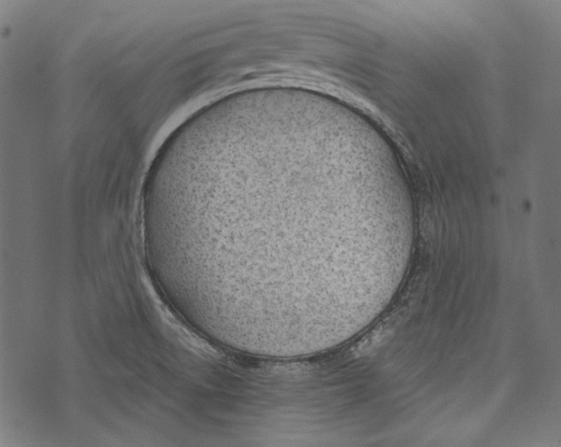 X0000073951522200609181348