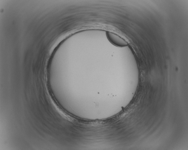 X0000073951523200609181348