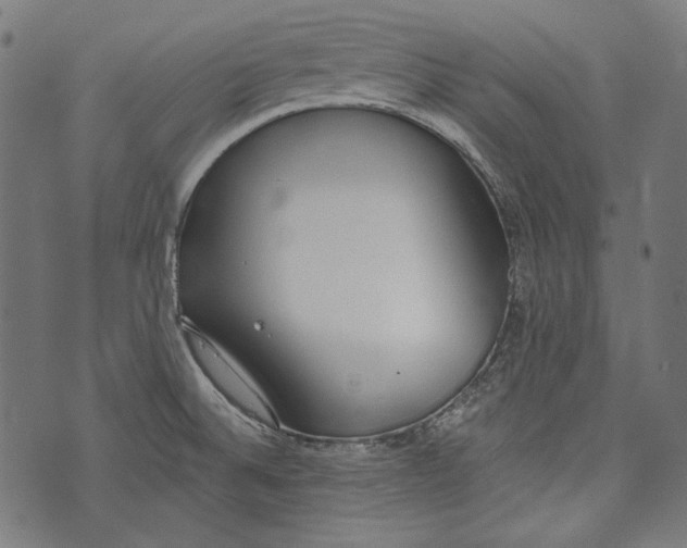 X0000073951524200609181348