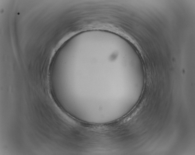 X0000073951525200609181348