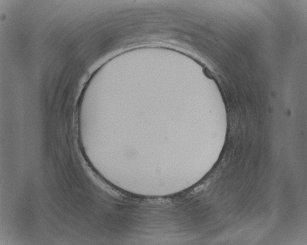 X0000073951526200609181348