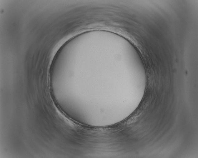 X0000073951527200609181348