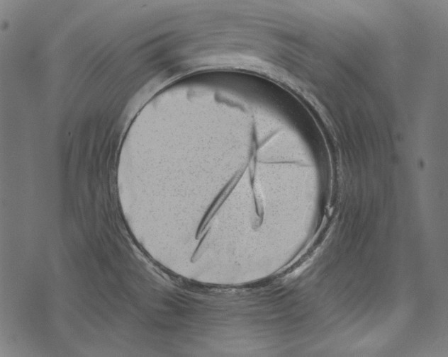 X0000073951529200609181348